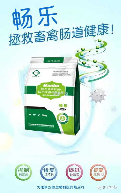 飼料禁抗后，斷奶仔豬腹瀉問(wèn)題將更為嚴(yán)重，養(yǎng)豬人如何應(yīng)對(duì)